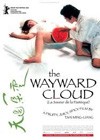 The Wayward Cloud (2005)5.jpg